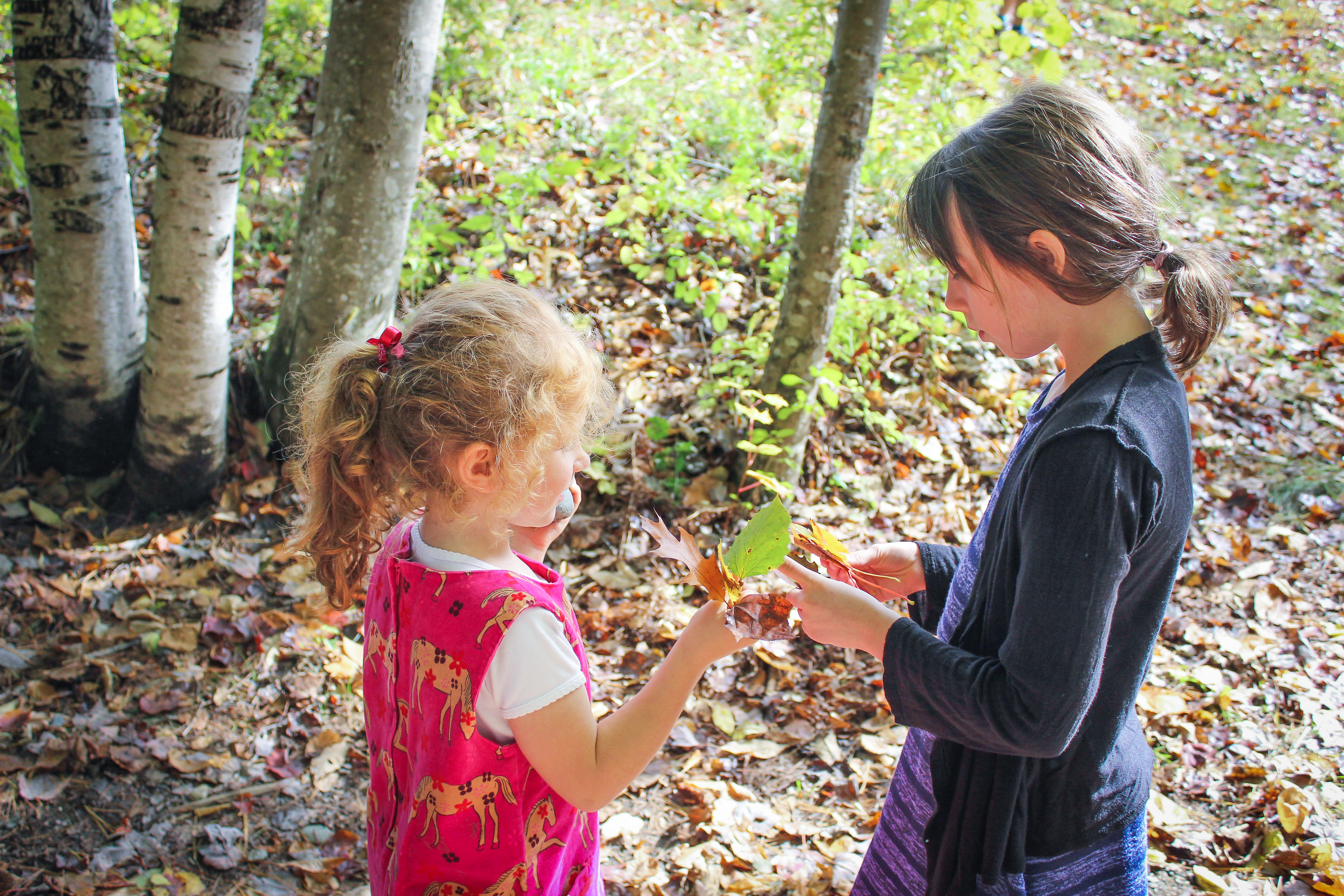 Permalink to Making the Most of Social Emotional Learning